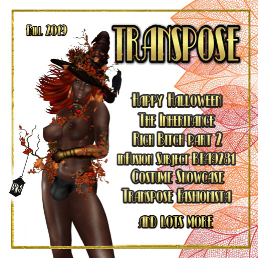 TransPose Magazine #2 cover