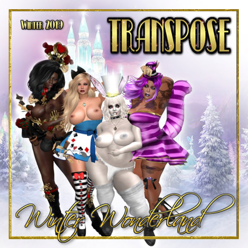 TransPose Magazine #3 cover