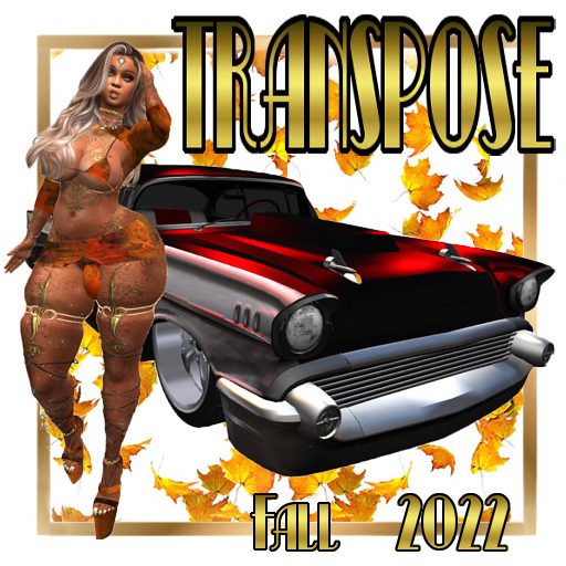 TransPose Magazine #6 cover