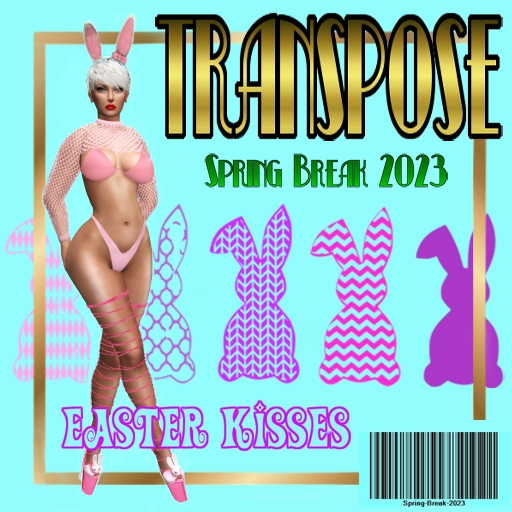 TransPose Magazine #9 cover