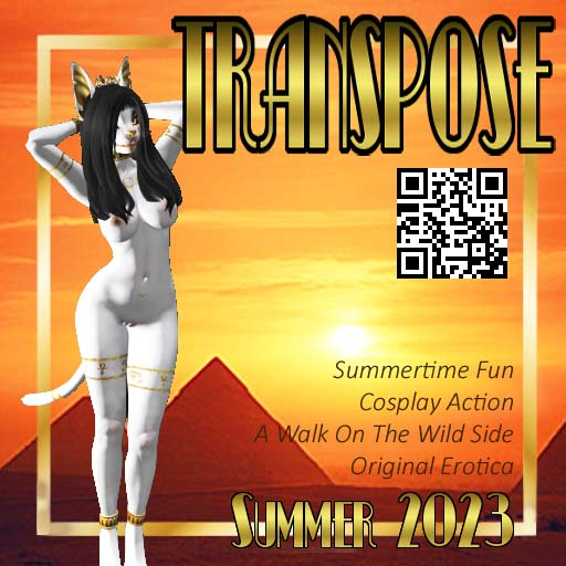 TransPose Magazine #10 cover